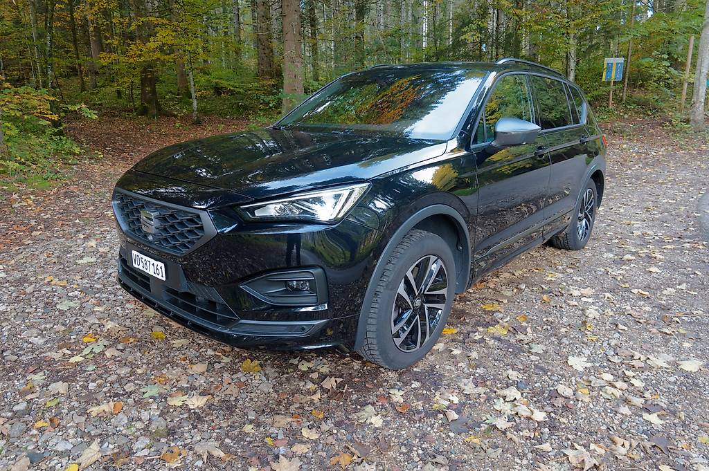 anibis genève emploi