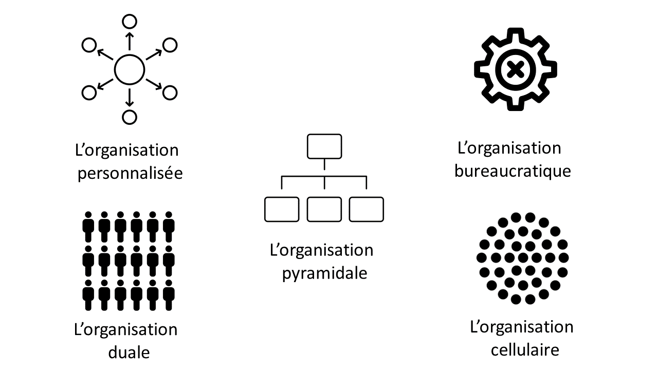 'organisation